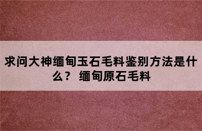 求问大神缅甸玉石毛料鉴别方法是什么？ 缅甸原石毛料